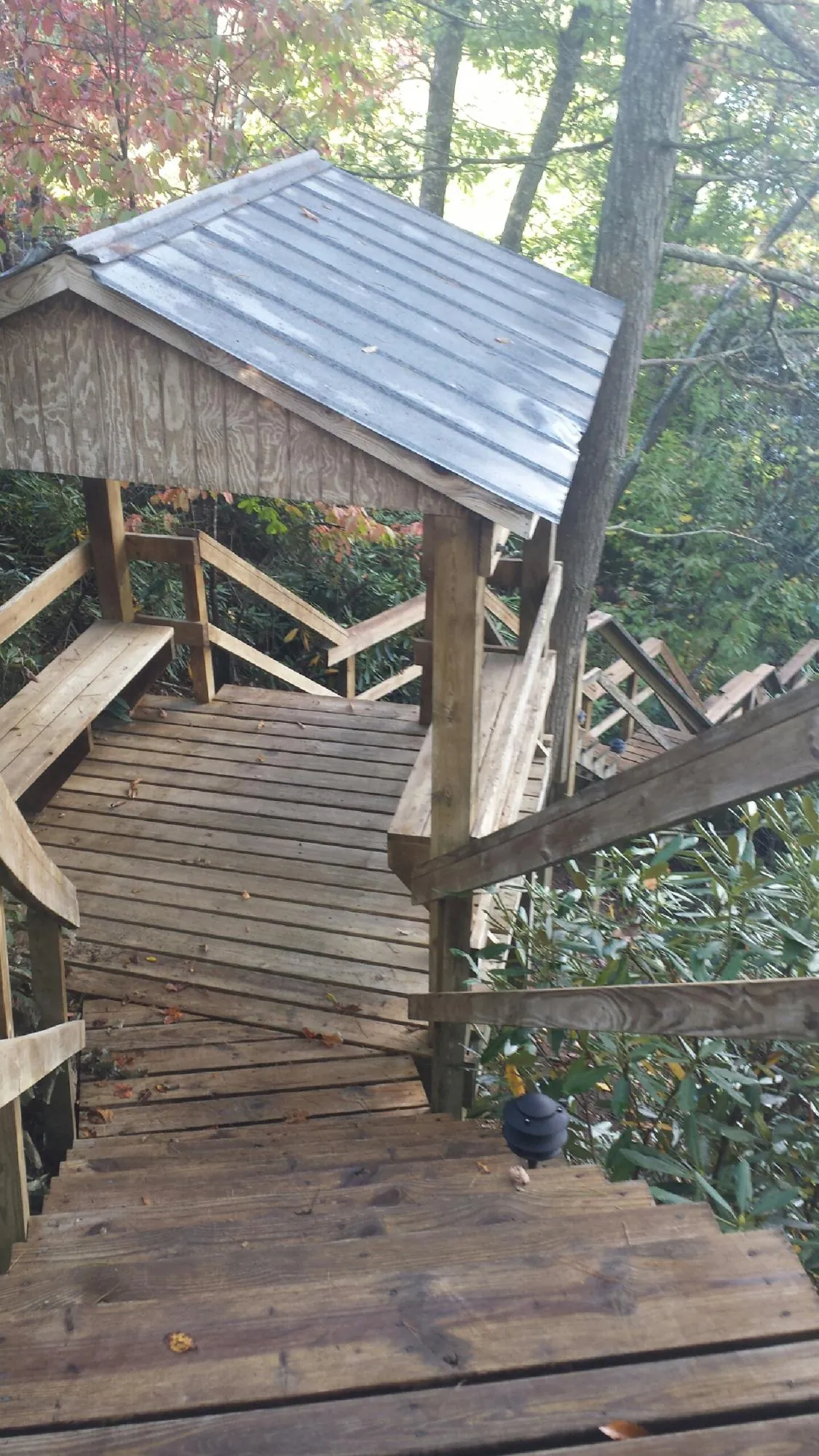 Metal roofed shelter over wooden steps on a wooded walkway — Skylight Repair & Installation work by our crew in Scottsburg